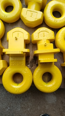 Aanpassingsgroottes G80 Container Hook Lifting Hook Rigging Eye voor materiaalbehandelingsbehoeften